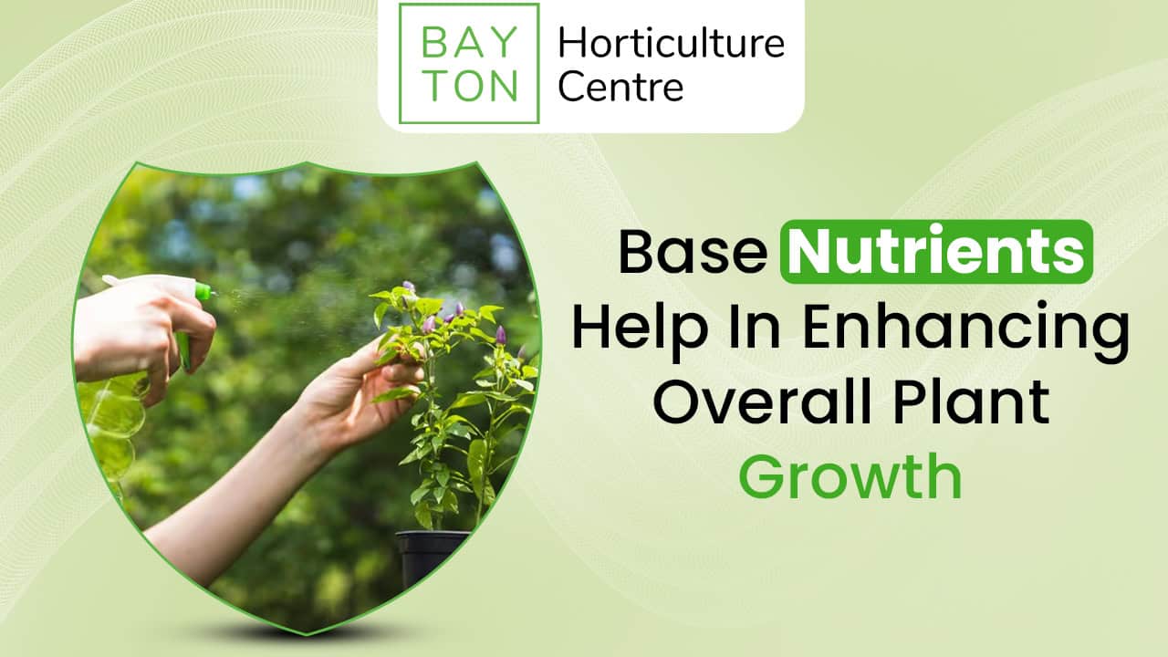 Base Nutrients Help In Enhancing Overall Plant Growth