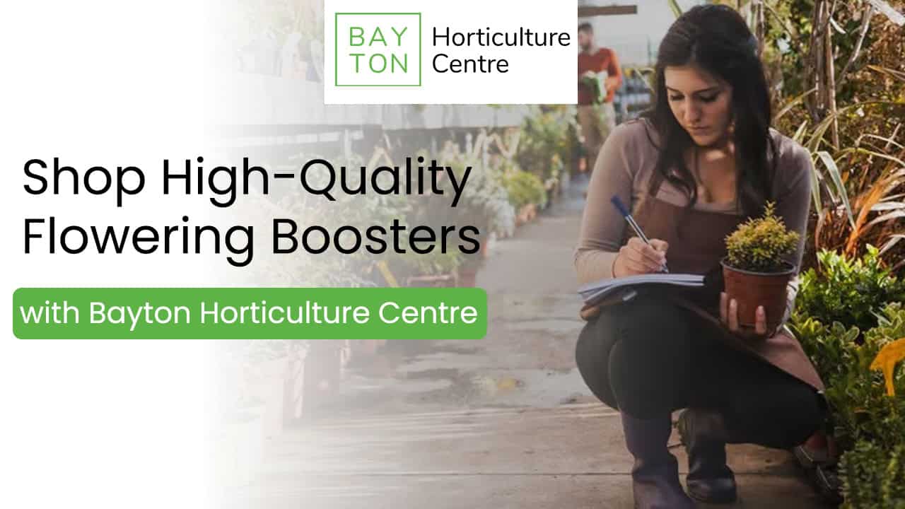 Shop High-Quality Flowering Boosters with Bayton Horticulture Centre