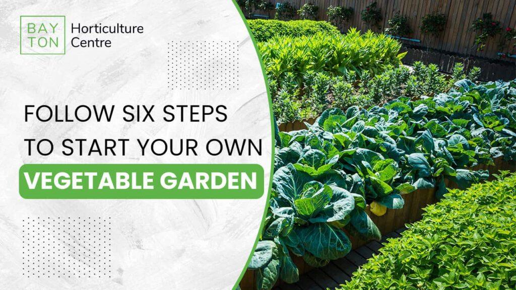 Six Essential Steps for Starting a Successful Vegetable Garden - Bayton ...