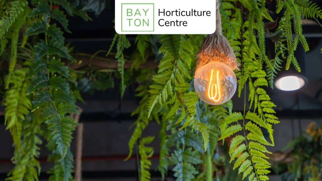 Grow Lights: A Complete Guide to Indoor Plant Growth
