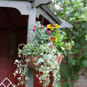 Smart Hanging Basket 14"