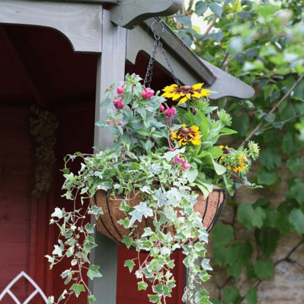 Smart Hanging Basket 14"
