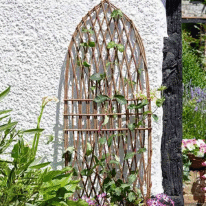Minster Willow Trellis Gothic 1.2m x 0.45m