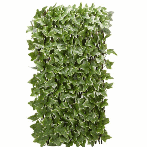 Ivy Leaf Trellis 180cm x 60cm - Image 3