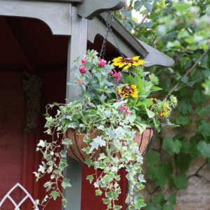 Smart Hanging Basket 12"