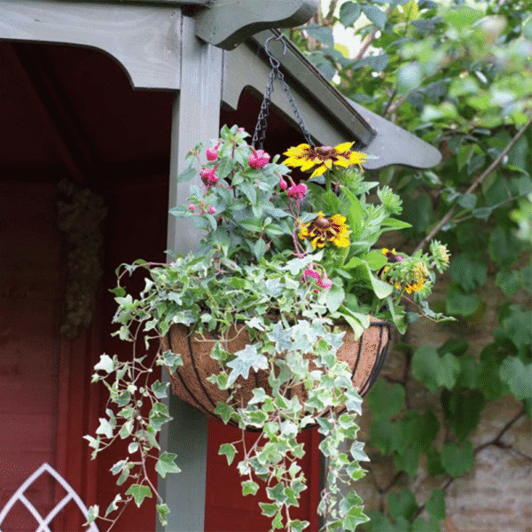 Smart Hanging Basket 12"