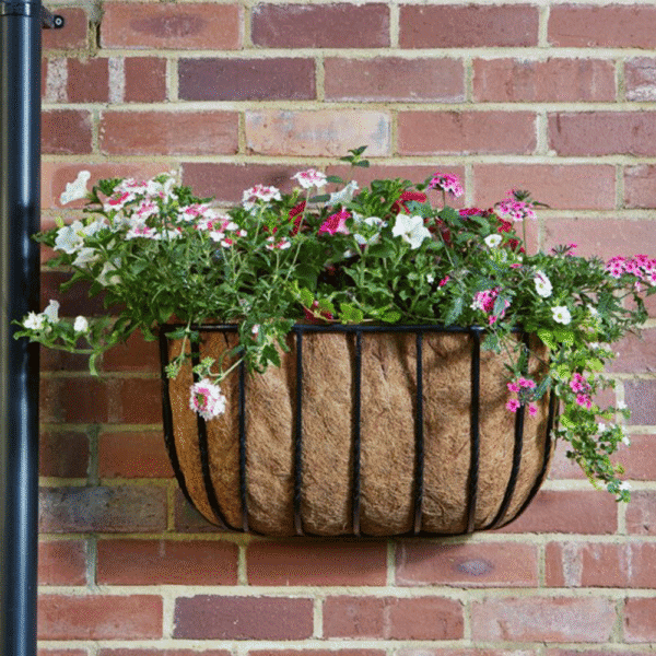 Forge Wall Manger 20" - Image 3