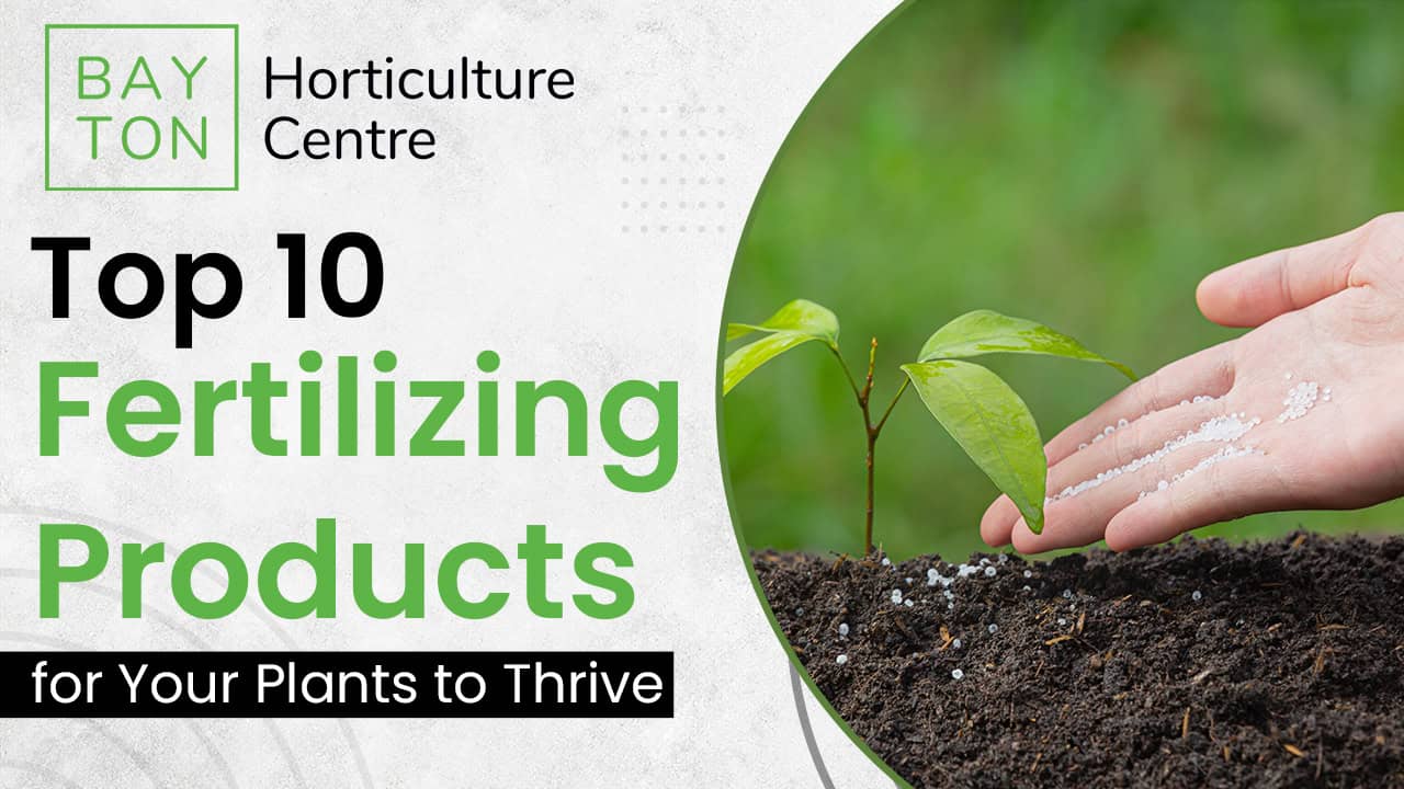 Top 10 Fertilizing Products for Your Plants to Thrive