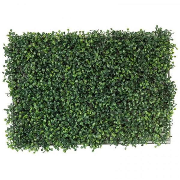 Boxwood Screening Panel 60cm x 40cm - Image 4