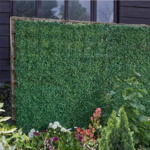 Boxwood Screening Panel 60cm x 40cm