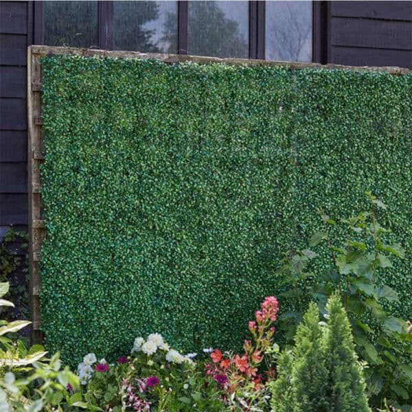 Boxwood Screening Panel 60cm x 40cm