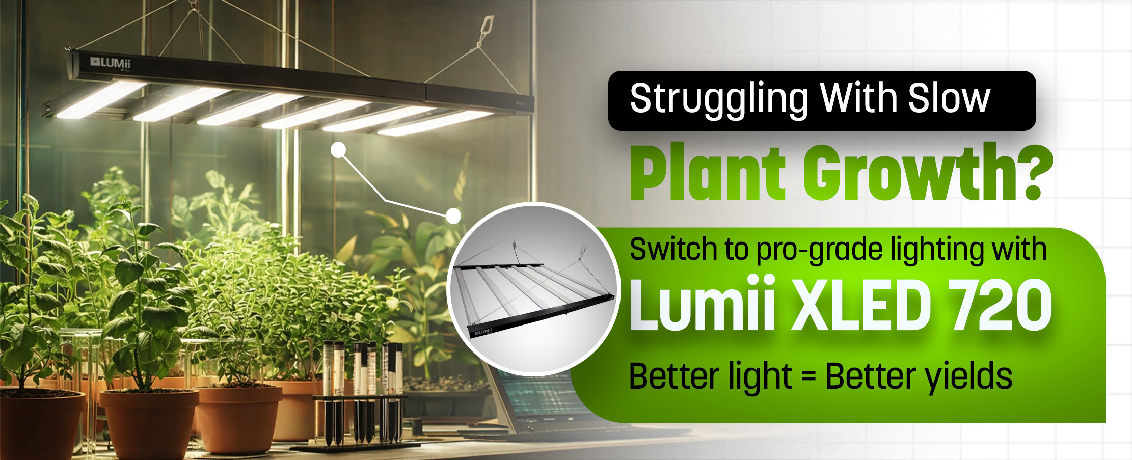 Indoor plants thriving under Lumii XLED 720 grow light for optimal plant growth.