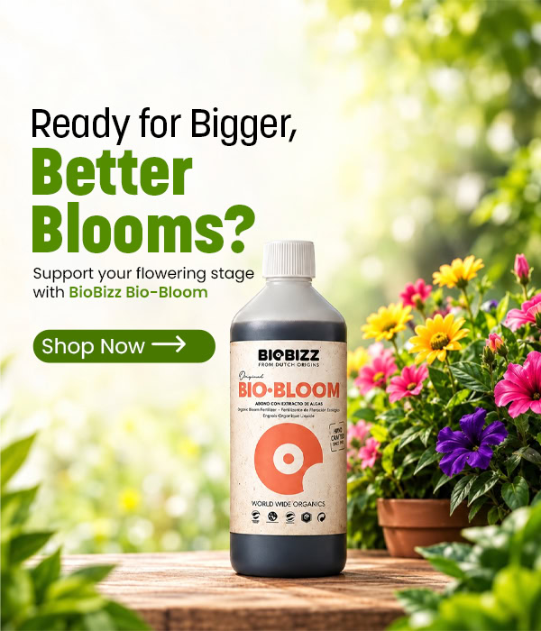 BioBizz Bio-Bloom fertiliser bottle with colourful flowering plants.