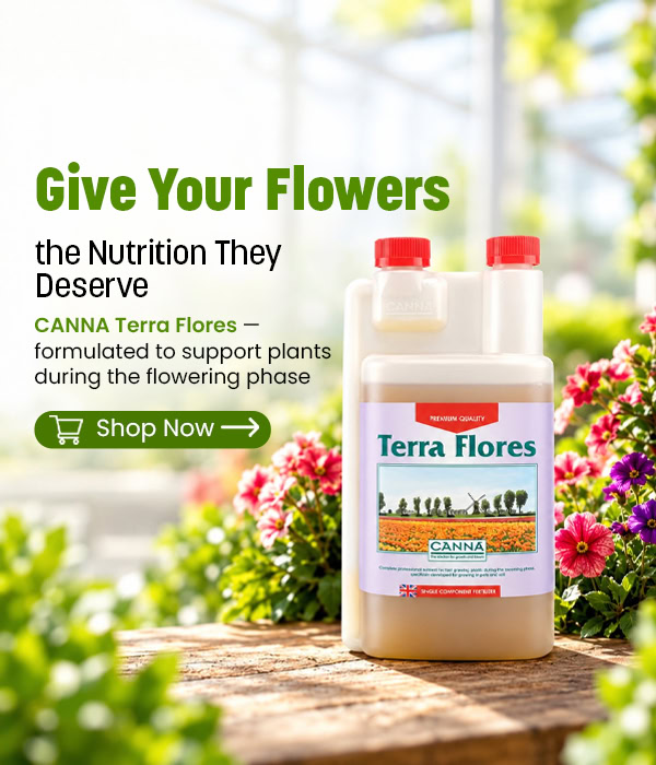Terra Flores fertiliser bottle with colourful flowers in greenhouse.